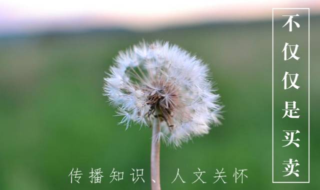 瑞思迈呼吸机airsense,瑞思迈呼吸机s10睡眠报告怎么解读