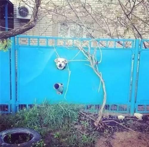 真人版吃鸡是真的秀啊,还有人玩真人版的吃鸡吗