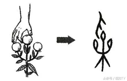 陕西小吃“biangbiang面”汉字为什么这么复杂？原来古代这样造字