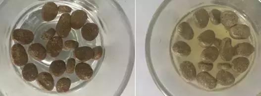 铲屎官好物推荐,铲屎官良心测评宠物有机羊奶粉