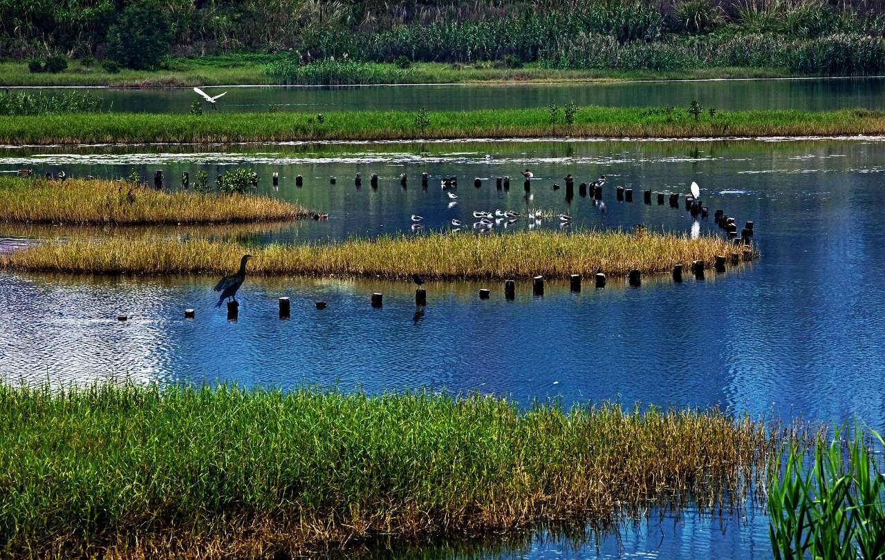 那些隐蔽的世外桃源,深圳世外桃源位置