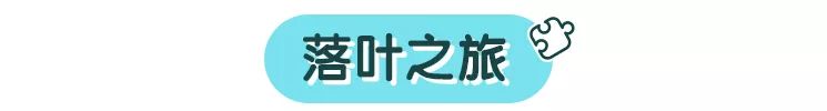 杭州哪里适合带小孩子去玩,杭州值得带孩子去玩的地方
