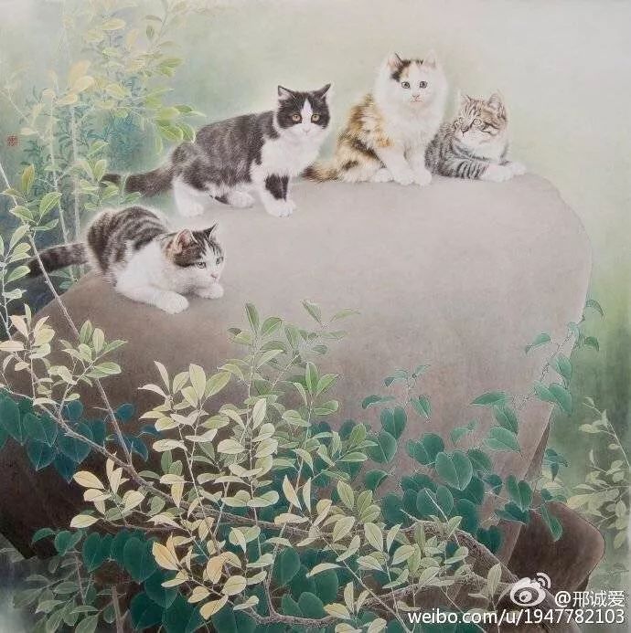 邢诚爱工笔猫扑蝶画法,邢诚爱工笔画猫白描底稿