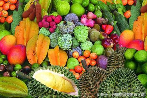 西双版纳穿越热带雨林攻略,西双版纳雨林旅游攻略