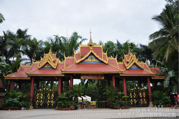 西双版纳穿越热带雨林攻略,西双版纳雨林旅游攻略