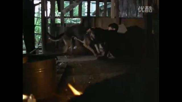 所有的奥特曼早期时候的样子,回忆十几年前看过的奥特曼