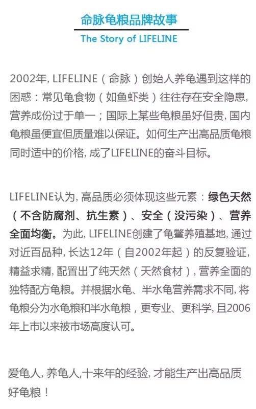 新手养龟的小知识,养水龟需要用什么水好