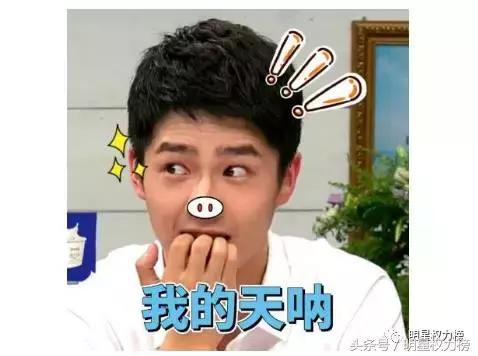 被吹捧为演技炸裂的明星,被嘲演技差的明星