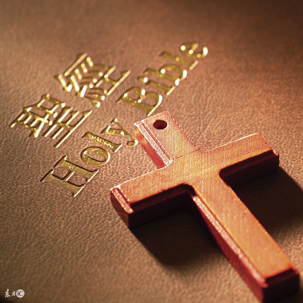 能够影响你一生的十本书,十部值得反复阅读的书