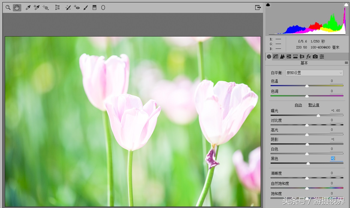 cameraraw直方图教程,cameraraw如何导出最优画质jpg