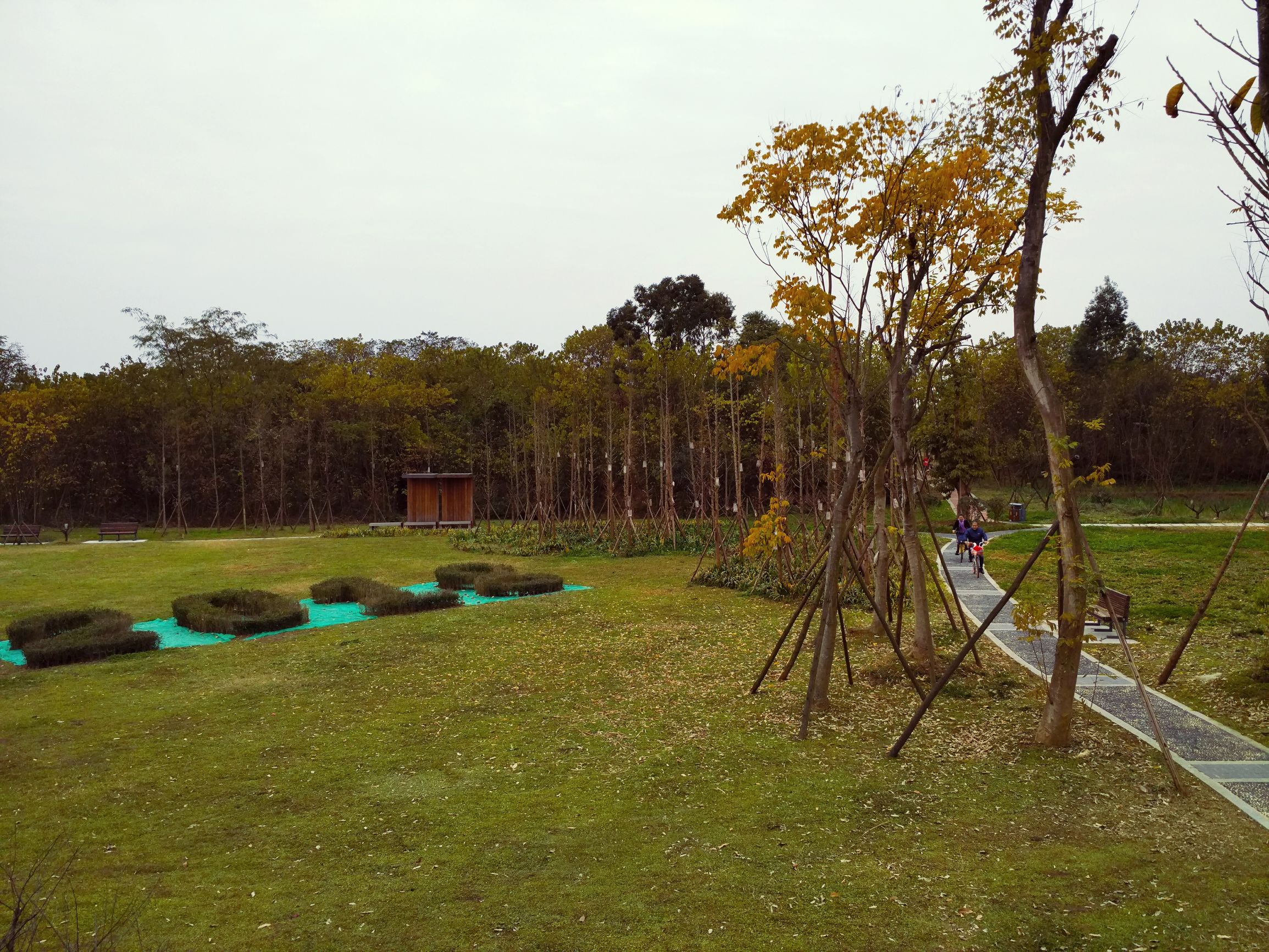 goodwellbetterbest分别的用法,goodbetterbest的意思