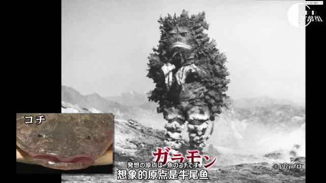 所有的奥特曼早期时候的样子,回忆十几年前看过的奥特曼