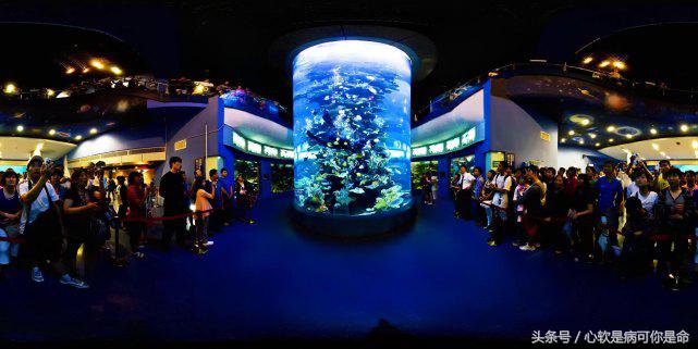 国内适合孩子去的主题乐园,国内好玩的主题乐园有哪些