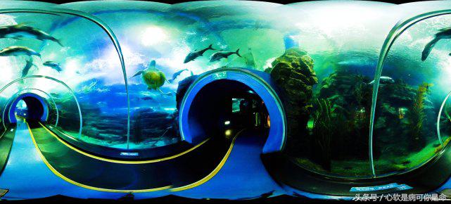 国内适合孩子去的主题乐园,国内好玩的主题乐园有哪些