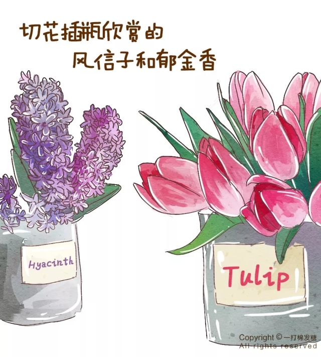 你也想拥有一个繁花似锦的春天？有这份球根种植笔记就够了