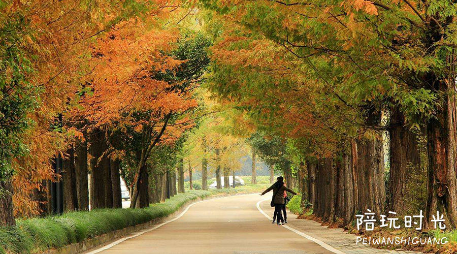 杭州哪里适合带小孩子去玩,杭州值得带孩子去玩的地方