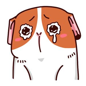 iphone这个可怕的功能你关闭了吗,iphone上最危险的三个功能