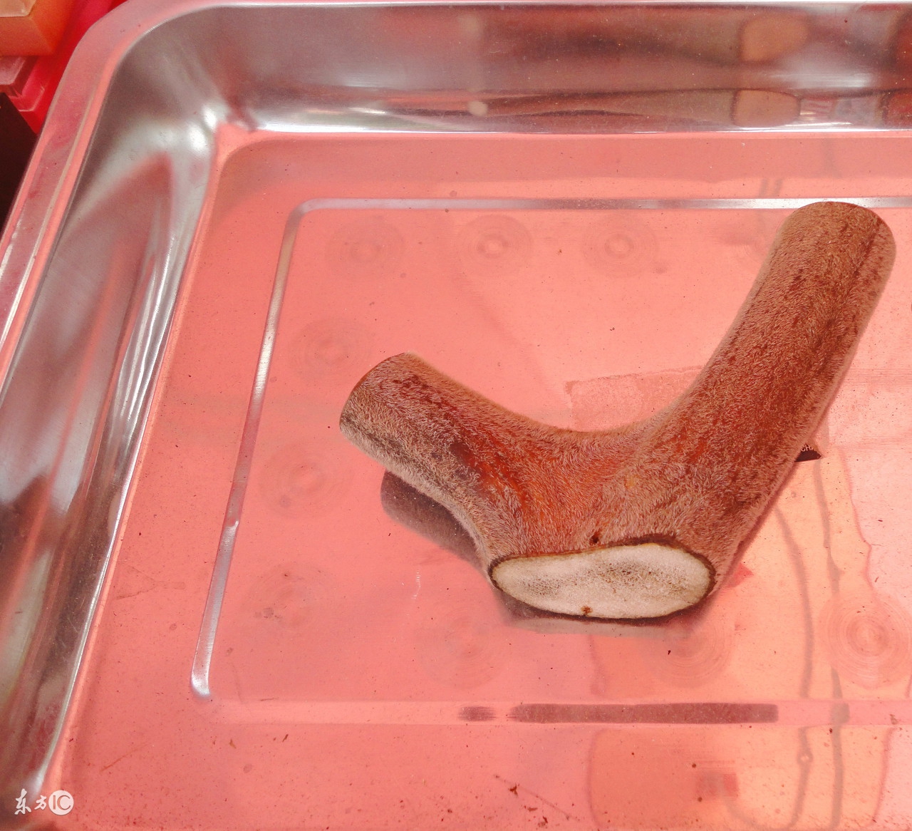 鹿茸的9大功效以及5种食用方法,鹿茸与枸杞泡水的功效与作用吃法