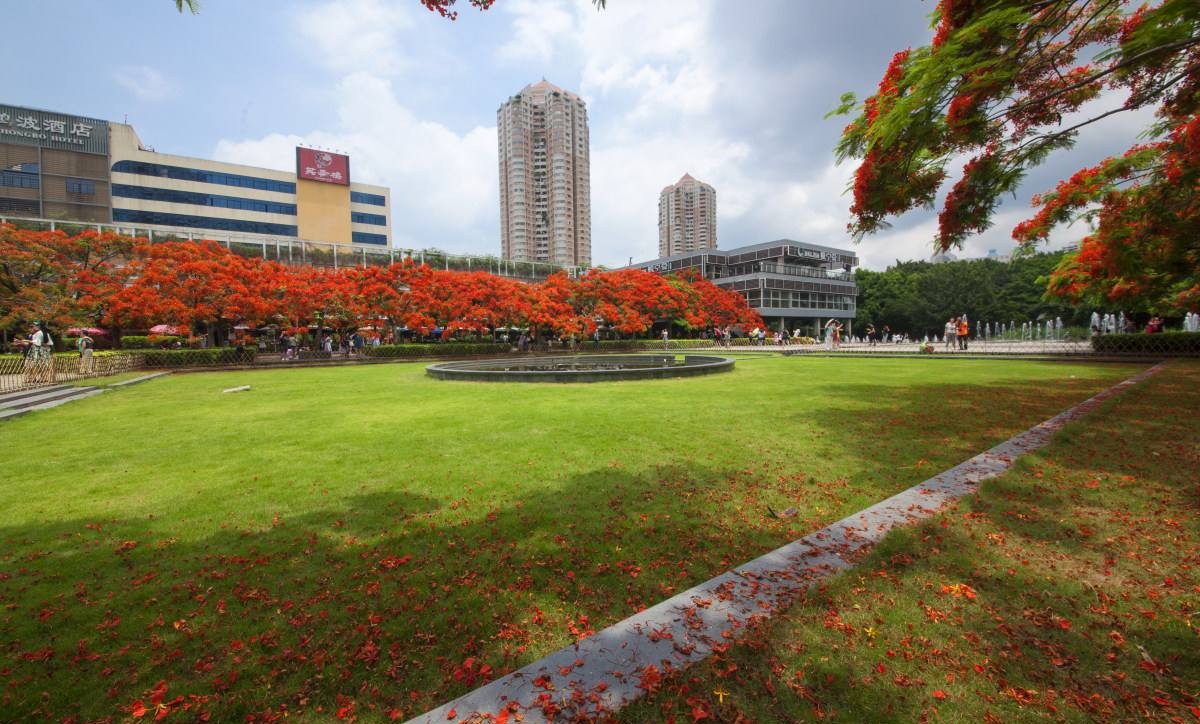 那些隐蔽的世外桃源,深圳世外桃源位置