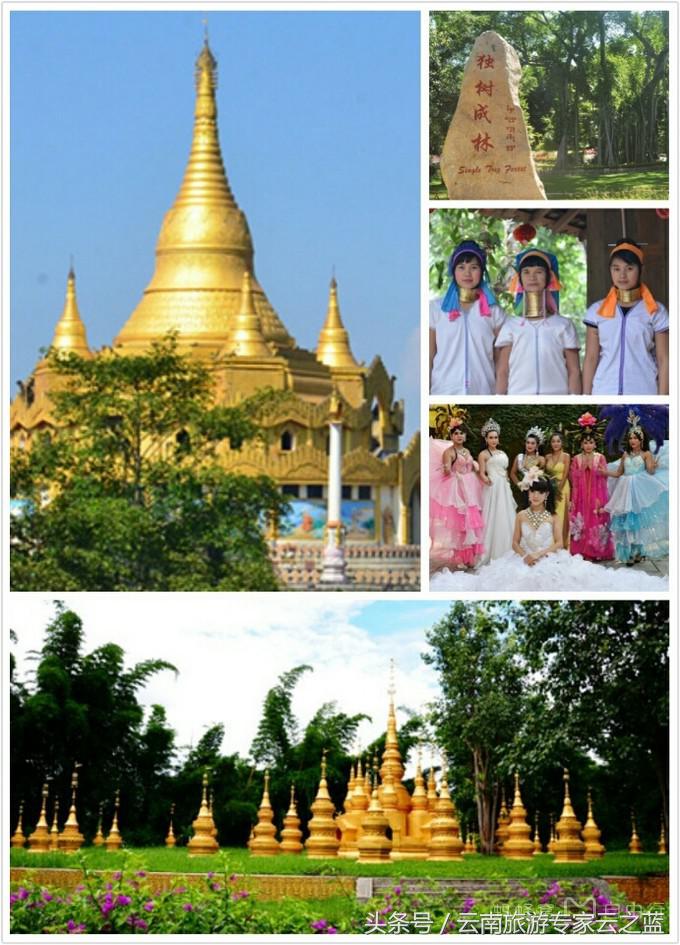 西双版纳穿越热带雨林攻略,西双版纳雨林旅游攻略