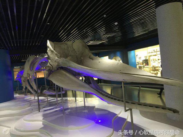 国内适合孩子去的主题乐园,国内好玩的主题乐园有哪些