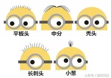 ta可以萌你一脸血不偿命，也有着你不知道的十个秘密