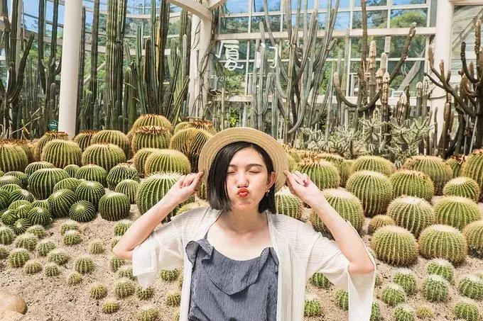 一起去厦门旅游攻略,旅游团厦门看海攻略