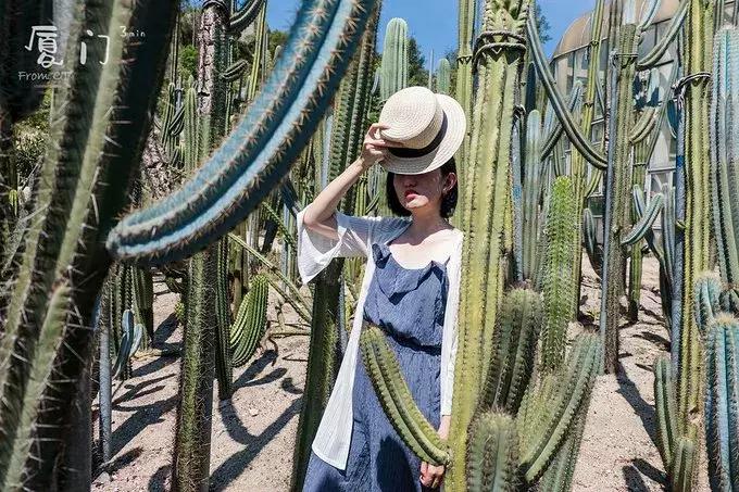 一起去厦门旅游攻略,旅游团厦门看海攻略