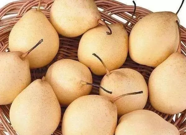 下辈子我只想做一只猪,下辈子我只想做一个俗人