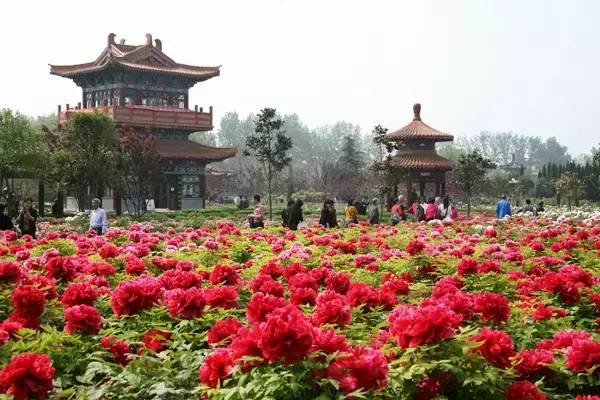 河南旅游景点及门票价格表大全,河南省旅游景点及门票价格表查询