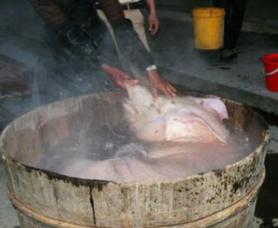 东北杀猪菜为什么在南方很少人吃,乡土东北杀猪菜