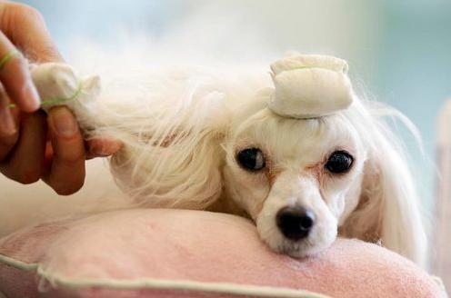 适合零投资的短期小创业项目投资,投资小赚钱快的18个创业项目加盟