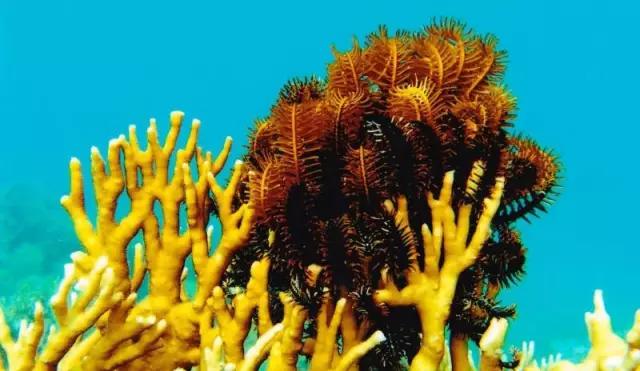 越南岘港旅游攻略必看,签证越南要多少钱