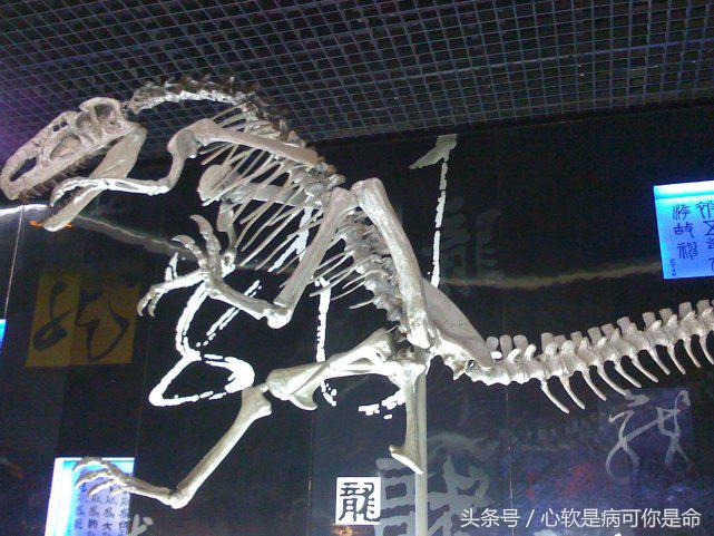 国内适合孩子去的主题乐园,国内好玩的主题乐园有哪些