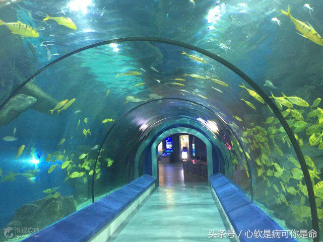 国内适合孩子去的主题乐园,国内好玩的主题乐园有哪些