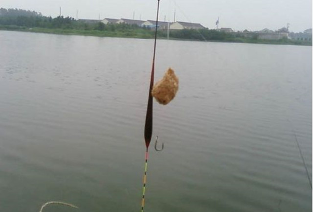 钓鱼新手怎么选择鱼线,钓鱼新手如何选择鱼线