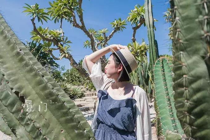 一起去厦门旅游攻略,旅游团厦门看海攻略