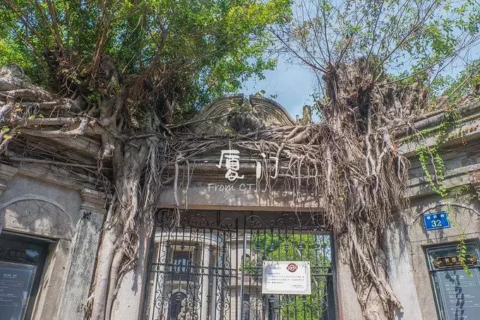 一起去厦门旅游攻略,旅游团厦门看海攻略