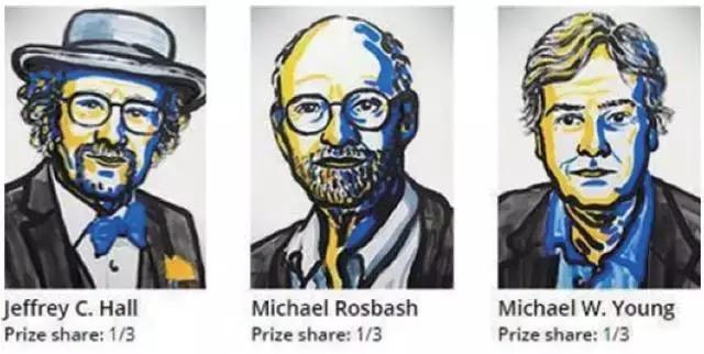 生物钟机理的重要生物学意义,科学家研究发现人体生物钟机理