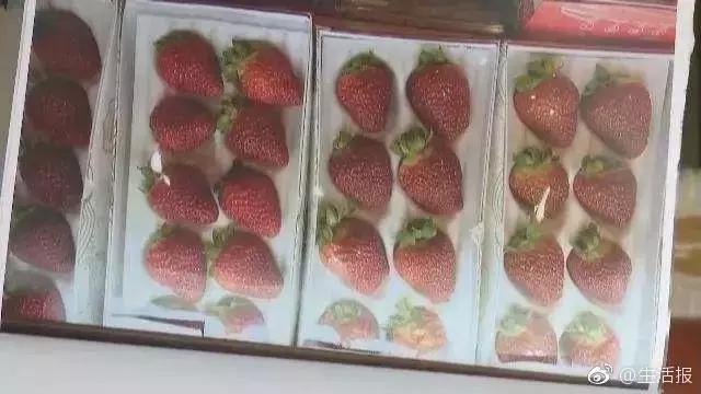 逗B奇闻丨姑娘重复订了机票，机票900，退票手续费1000元？！