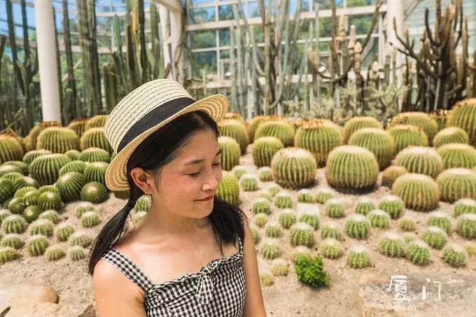 一起去厦门旅游攻略,旅游团厦门看海攻略