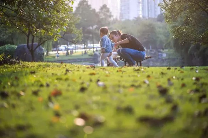 下辈子我只想做一只猪,下辈子我只想做一个俗人