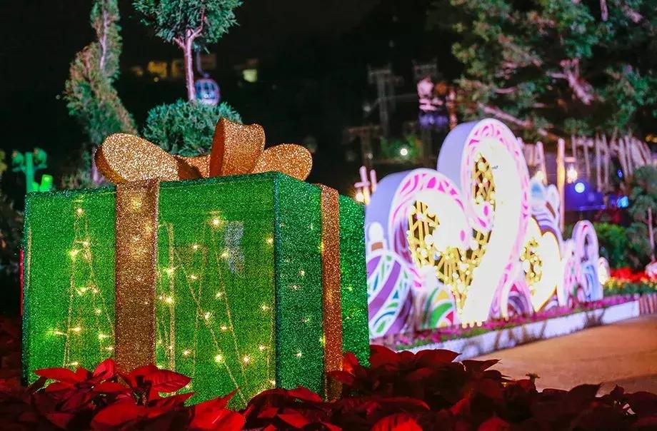 去香港一定要注意的五件事,去香港注意事项和攻略