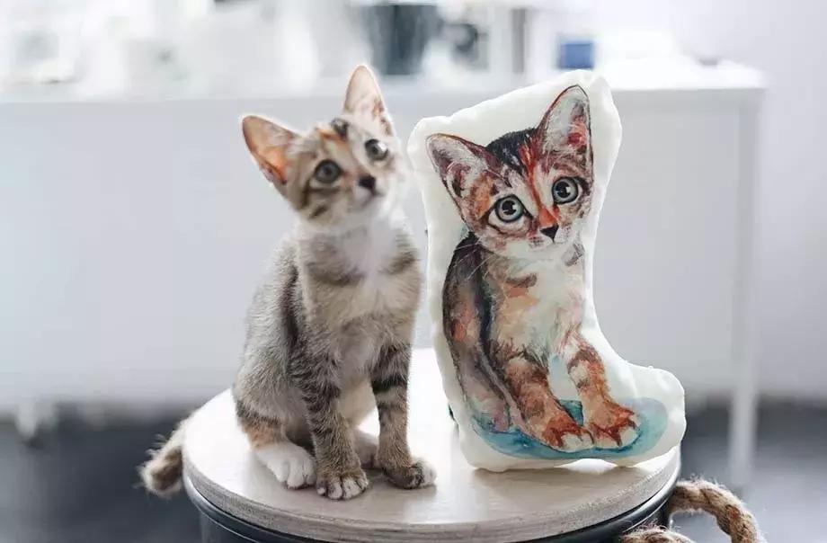 去香港一定要注意的五件事,去香港注意事项和攻略