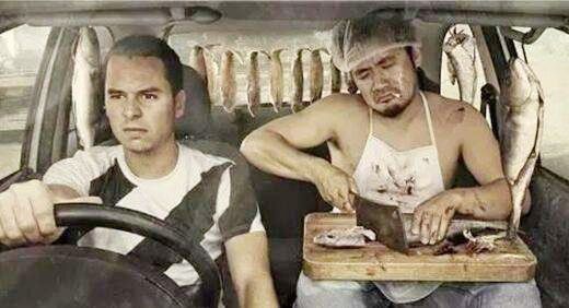 哪种柚子皮能除车内甲醛,用柚子皮桔子皮能去掉甲醛