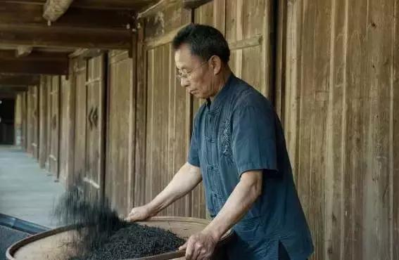 茶师系列第二期｜因为骏德，所以骏眉