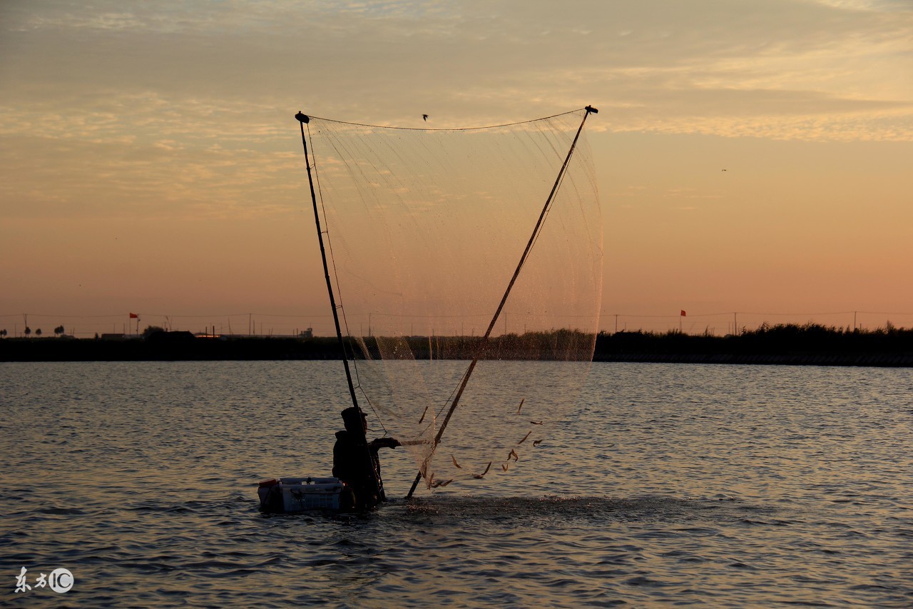 海鱼离开海水会死吗,为什么海鱼在淡水不能活