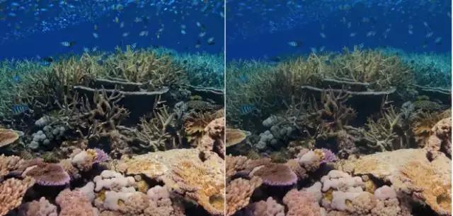 腾讯视频杜比视听支持安卓系统吗,腾讯视频杜比视界支持手机