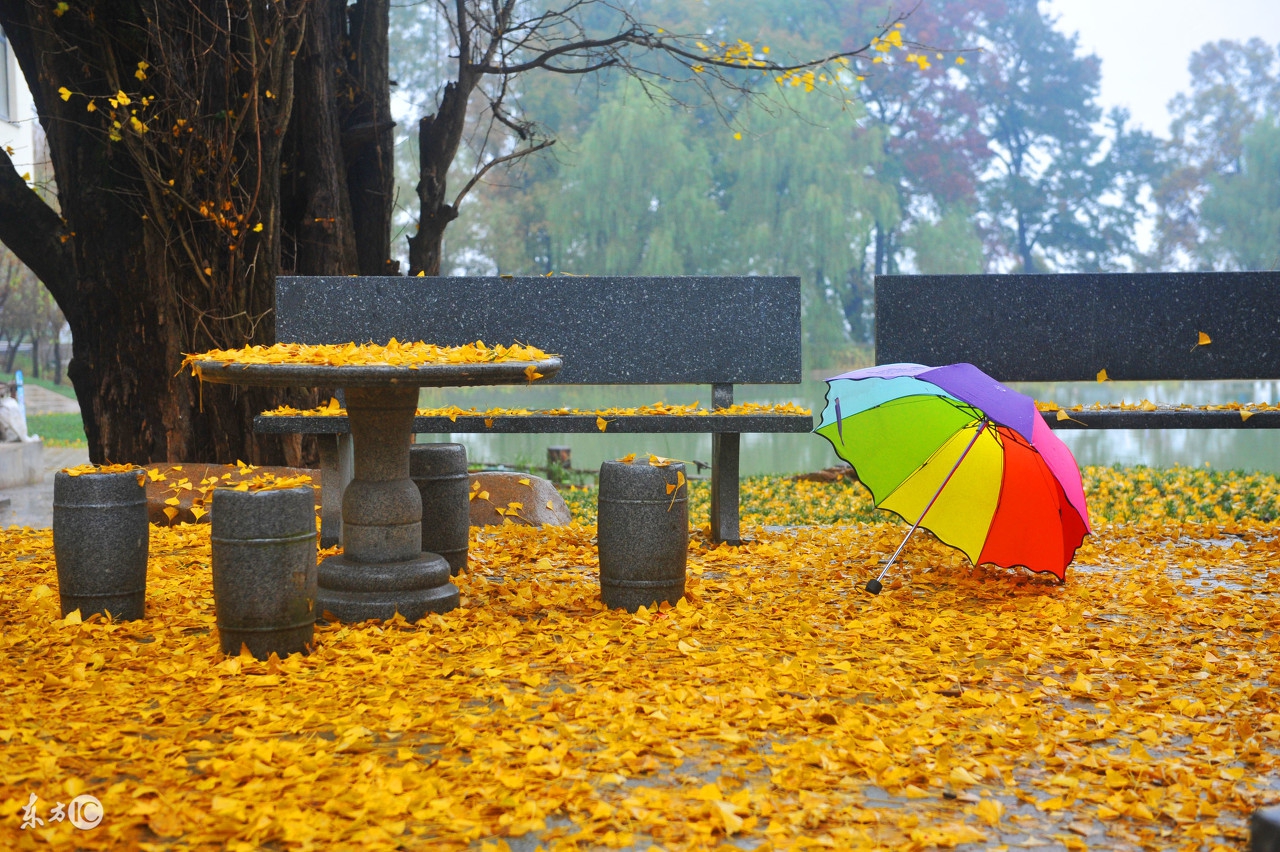 小学语文知识点归纳关联词的作用,小学语文最全关联词用法重点讲解