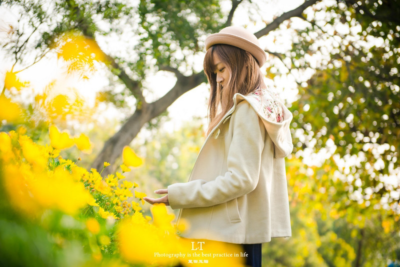 这里铁树开花是家常便饭，还有穿白色V领服的贪吃黑熊